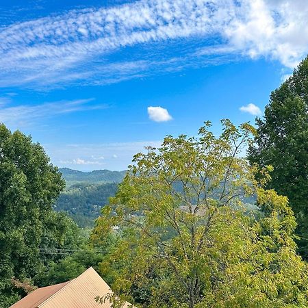 Little Black Bear Retreat Pigeon Forge Exterior photo